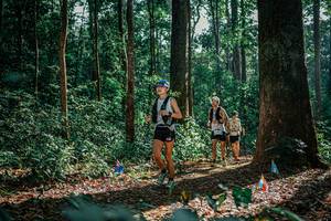 BIB: 
                            <button type="button" onclick="openModal(26130679)" class="btn btn-primary btn-sm float-right btn-popup" data-toggle="modal" data-target=".modal-high-quality">
                        <i class="fas fa-shopping-cart"></i> Add to Cart
                    </button>
                                            <button type="button" onclick="isThisMe(26130679, true)" class="btn btn-success btn-sm float-right btn-popup btn-isme hidden" data-toggle="tooltip" data-placement="bottom" title="นี่คือรูปของคุณใช่ไหม คลิกที่นี่เพื่อเอาเข้าอัลบั้ม">
                        <i class="fas fa-plus"></i> Add to album
                    </button>
                    <button type="button" onclick="isThisMe(26130679, false)" class="btn btn-warning btn-sm float-right btn-popup btn-isnotme hidden">
                        <i class="fas fa-ban"></i> Remove from album
                    </button>